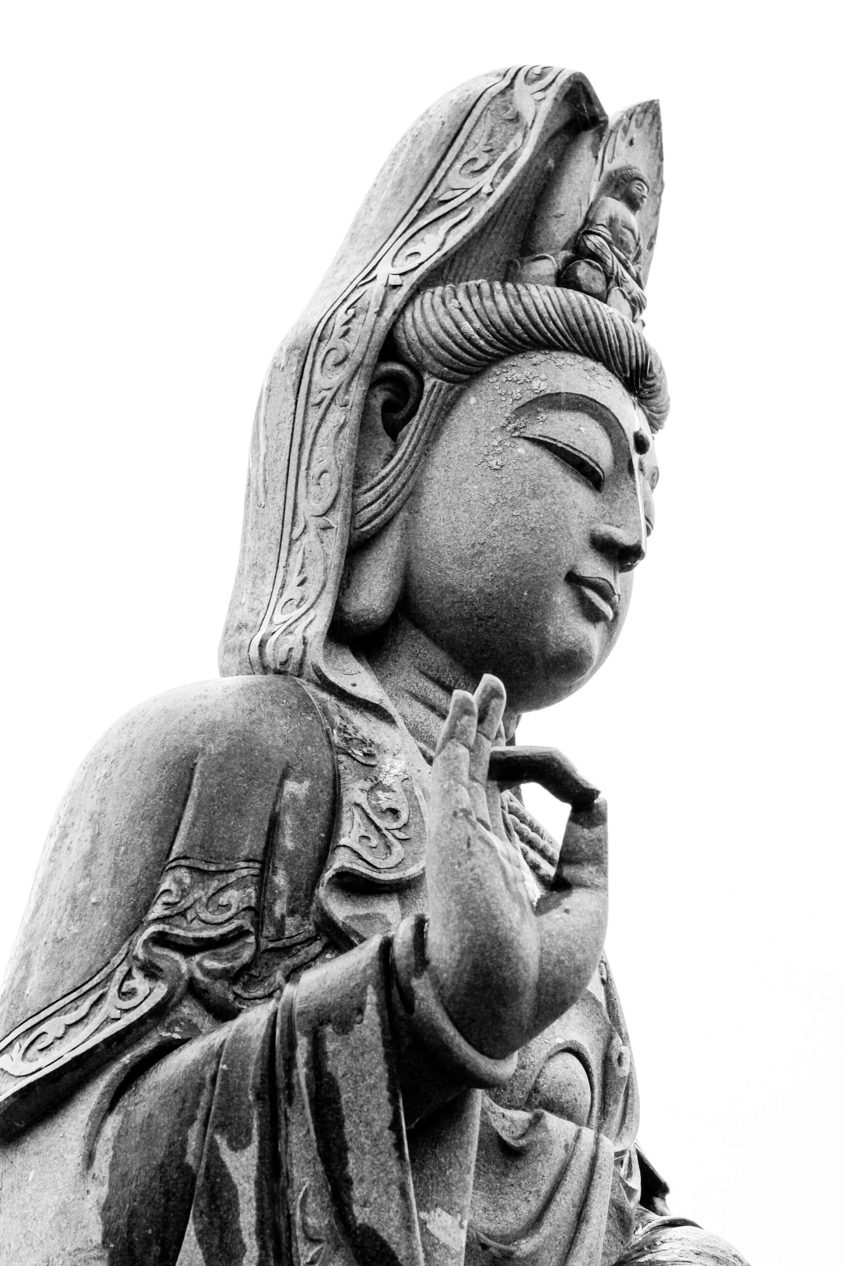 buddha 6